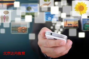 2017高考專業(yè)解讀 計算機(jī)專業(yè)前景展望——網(wǎng)絡(luò)與信息安全與軟件開發(fā)方向